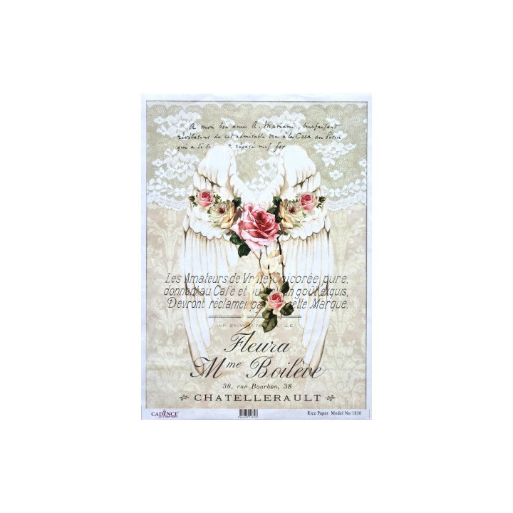 copy of 
